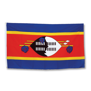 Promex Swaziland Large Flag 90 x 150cm