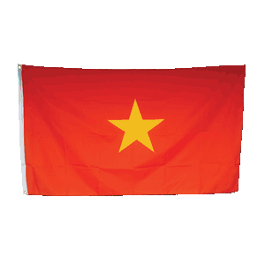 Promex Vietnam Large Flag 90 x 150 cm