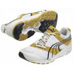 Complete Concinnity Road Running Shoe
