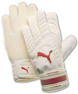 Puma Mestre Goalkeepers Glove