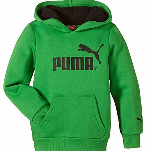  Boys Hooded Sweatshirt with No. 1 Logo Green Fern Green Size:13 years