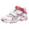 PUMA Stealth Full Spike Mid Adult Cricket Shoes