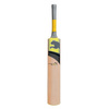 PUMA Vendetta 4000Y GT Junior Cricket Bat