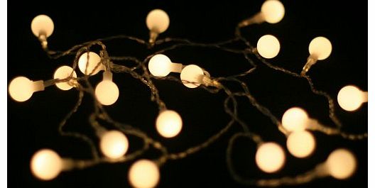 20 LED Battery Lights with Berry Covers on Transparent Wire, Warm White