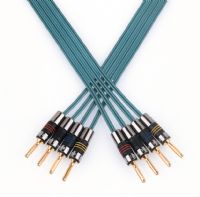 QED Profile 4 x 4 Bi-Wire Speaker Cable - 5 Metres- : 4 at one end 2 at the other
