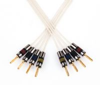 QED Silver Anniversary Bi-Wire Speaker Cable - 5 Metres- : No Terminations