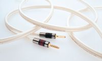 QED X-Tube XT300 Speaker Cable - 1 Metre- : 2 at each end
