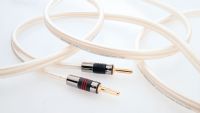 QED X-Tube XT350 Speaker Cable - 1 Metre- : 2 at each end