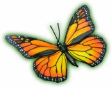 Mornarch Butterfly - 4D Puzzle