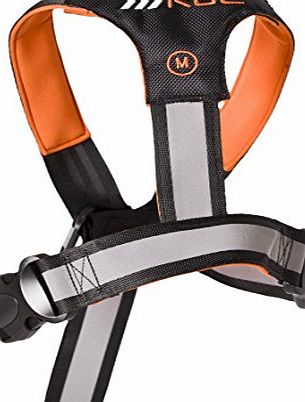 RAC Advanced 2 in 1 Car Safety Harness for Dogs, Small