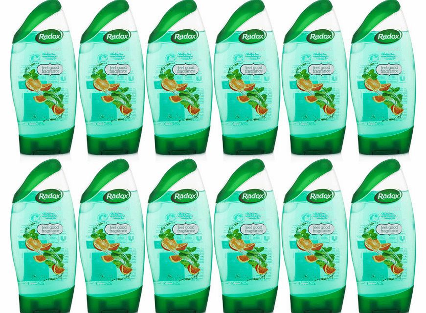 Refresh 2 in 1 Shower Gel & Shampoo 12 Pack
