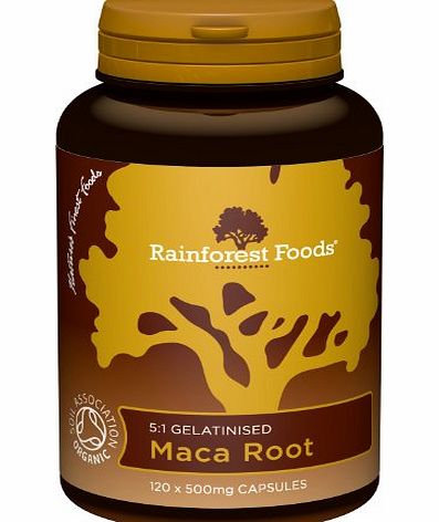 Rainforest Foods Organic Gelatinised Maca Root 5:1 (2500mg equivalent) Capsules, 500mg Pack of 120