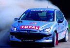 Rally Driving Experience at Brands Hatch for Two
