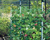 Raspberry Support - Black Extension