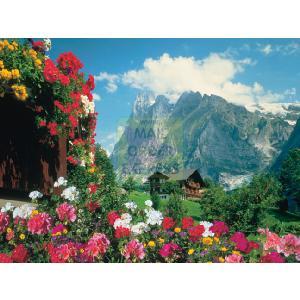 Ravensburger Bavarian Alps 1500 Piece Jigsaw Puzzle