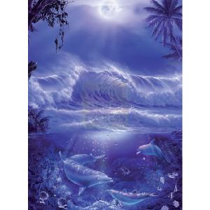 Ravensburger Dolphins In The Moonlight 1000 Piece Jigsaw Puzzle