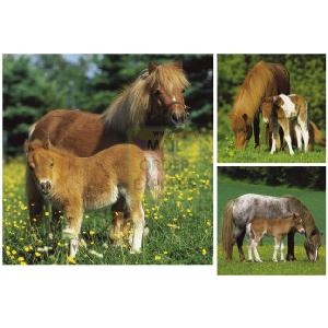 Ravensburger Mare with Foal 3 x 49 Piece Jigsaw Puzzles