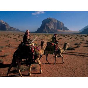 Ravensburger National Geographic Camels in the Desert 1000 Piece Jigsaw Puzzle