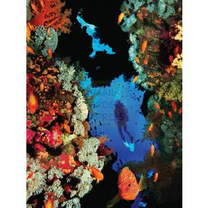 National Geographic Coral Reef 1000 Piece Jigsaw Puzzle