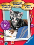 Paint By Numbers - Series E Cat