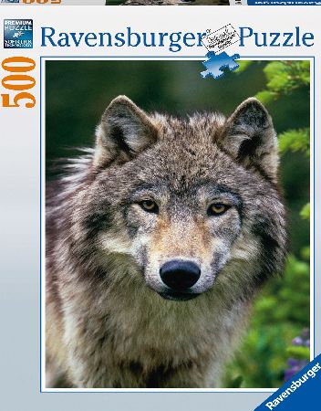 Wolf Portrait 500pc Puzzle
