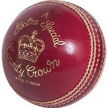 Extra Special A Cricket Ball
