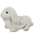 Real Newborn Bunny - White