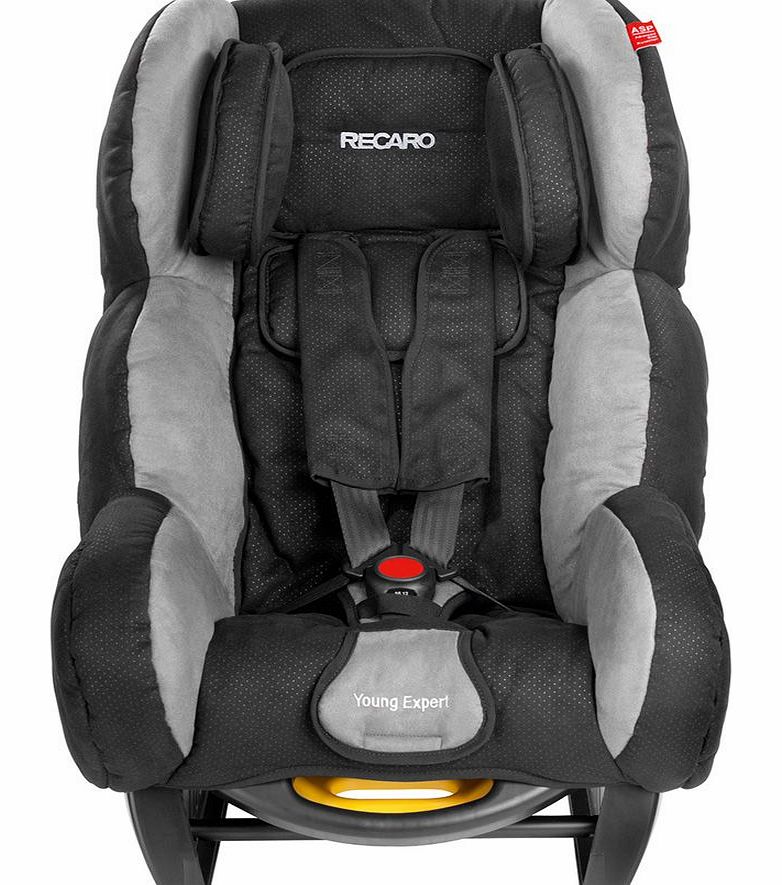 Young Expert Graphite Car Seat 2014
