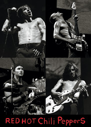 Red Hot Chili Peppers Live Poster
