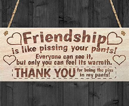 Red Ocean Friendship Sign Best Friend Plaque Gift Shabby Chic Heart amp; Thank You - READ ME