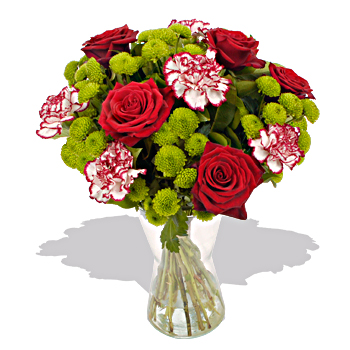 Red Rose And Carnation Bouquet - flowers