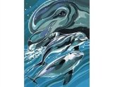 Junior Painting by Numbers - Dolphins