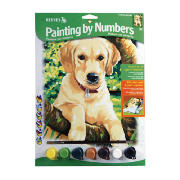 Painting by Numbers 3pk
