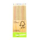 Remarkable FSC Colouring Pencils (Pack Of 10)
