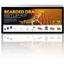 Reptile Exo Terra Bearded Dragon Setup Kit Single