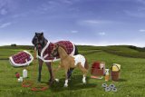 Revell Gee Gee Friends - Horse Care Set
