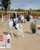 Revell Gee Gee Friends - Play-Set Show Jumping Competition