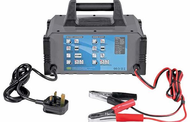 Ring Automotive Ring 12V Battery Charger