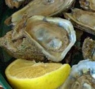 1 Oysters, fresh, single