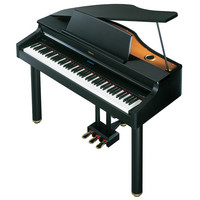 RG-1 Digital Grand Piano Black