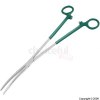 Stainless Steel Curved Forceps 250mm 59129