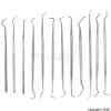 Stainless Steel Probes Set of 12