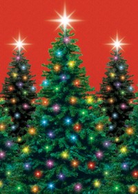 Setter - Christmas Trees