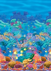 Setter - Coral Reef