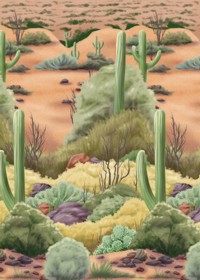 Setter - Desert Flora
