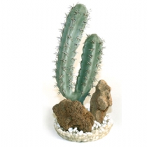 Sydeco Dandeacute;cor Cactus Rock Large