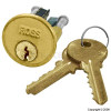 Brass Plated Cylinder Door Lock
