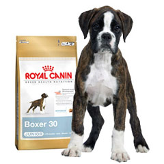 Royal Canin Boxer Junior 12kg