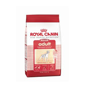 Canine Medium Adult