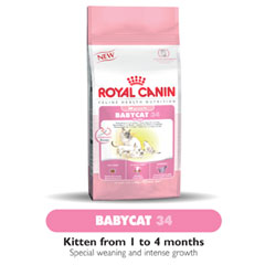 Canin Feline Health Baby Cat 34 2kg